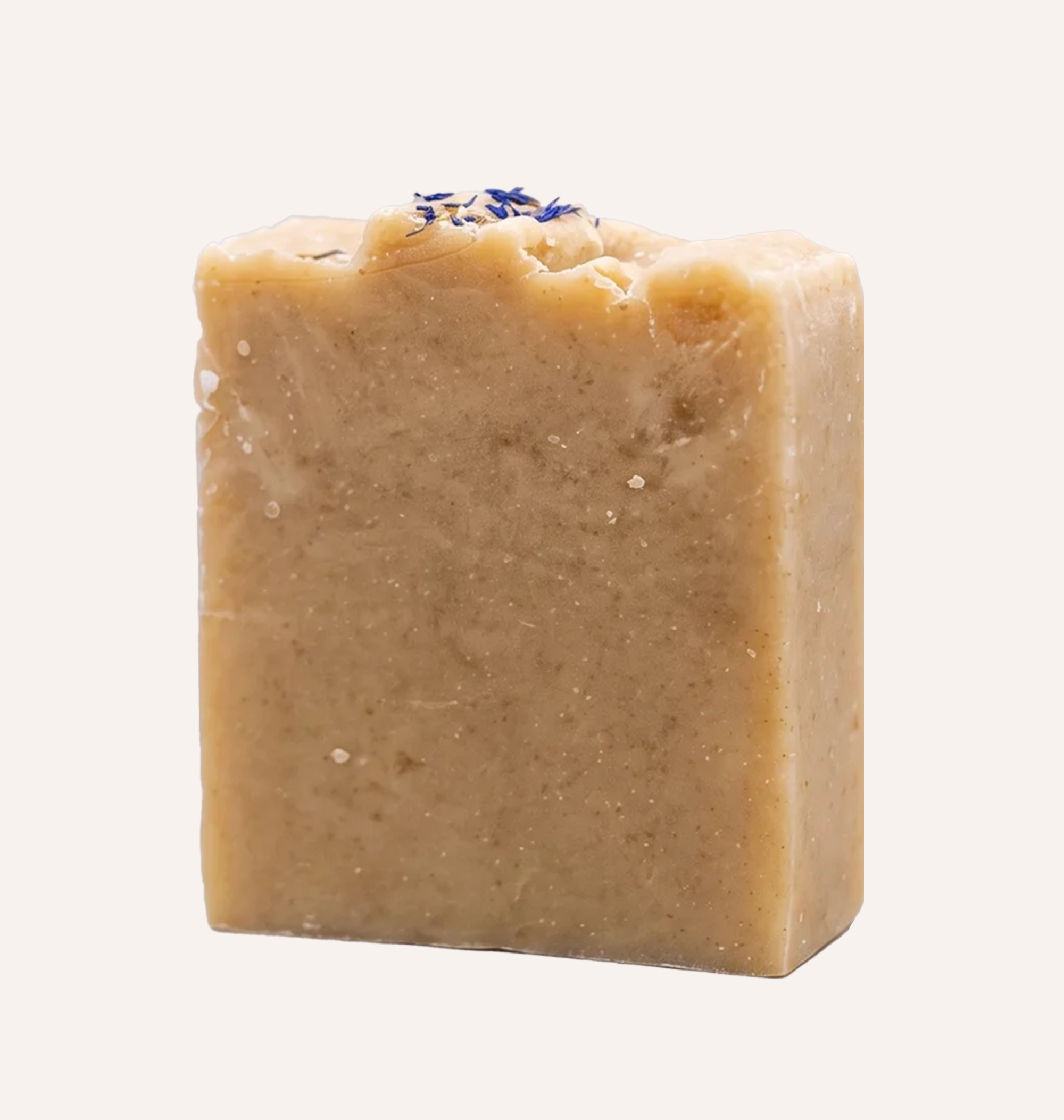 Goat Milk & Cinnamon Tallow Soap | 100g